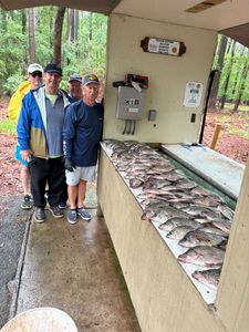 Group of 6 people fishing in Thomson