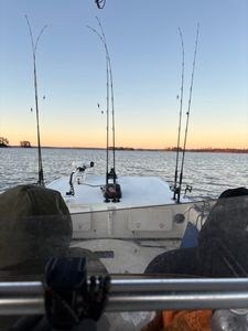 Fishing in GA