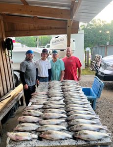 7 fish caught on fishing trip in GA