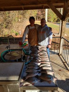 Five great barracuda fish caught in Georgia