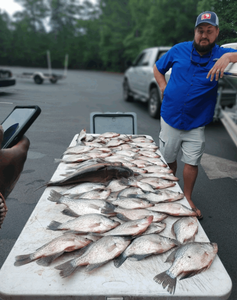 4 mysterious fish caught at Thomson location