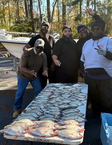 4 people fishing in GA