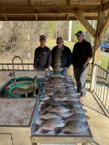 3 big fish caught while fishing in Thomson
