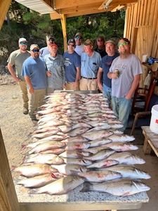 Clarks Hill Lake Striper Fishing