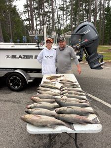 One big fish caught in Thomson