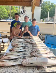 7 fish caught in GA