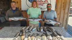 3 striped bass caught fishing at Thomson location