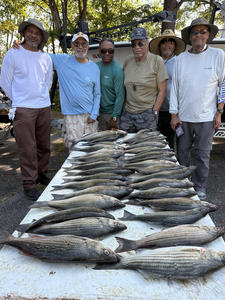 Great day jigging and trolling for striped bass and wipers! Clear conditions made for an exciting fishing adventure.
