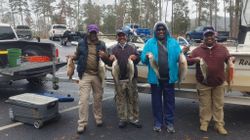 Four striped bass caught fishing in Georgia
