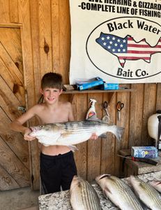 3 striped bass caught in GA