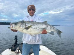 Striped bass caught in Georgia