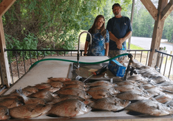 4 big fish caught in GA