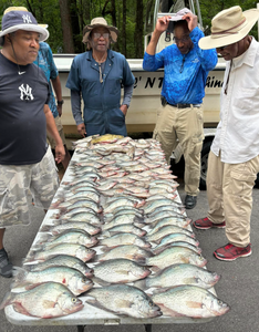 5 fishing in Thomson