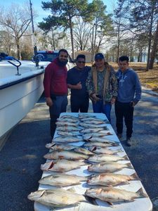 5 blasted today GA fishing adventure