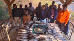 11 people fishing in Thomson