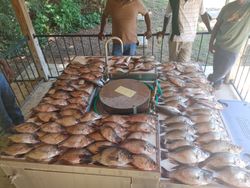 Fishing adventure in Thomson