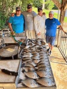 3 big fish caught in Thomson
