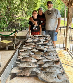 3 big fish caught in Thomson