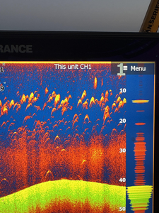 Clear skies and light tackle: the perfect recipe for a day on the water!