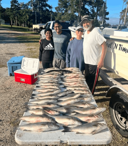 3 large fish caught in Thomson