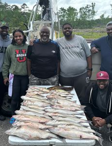 A group of 6 people fishing at Thomson with 2 large fish caught