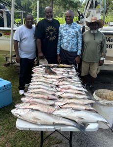 Two large fish caught while fishing in Thomson