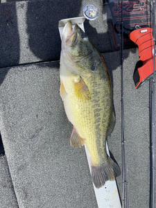 Fishing at OK location