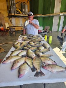 Angler with 5 fish caught at Mcalester