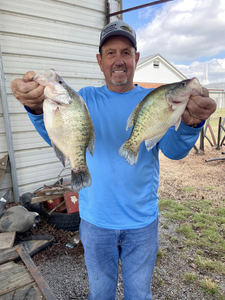 Two white crappie fish caught in Mcalester