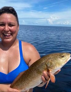 lone angler fishing in FL