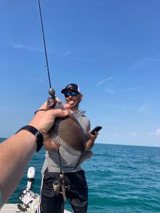 1 angler fishing in FL