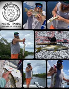 4 Snook fish caught on a fishing trip in a holiday location