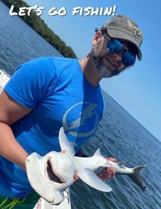 Bonnethead shark fishing in Holiday