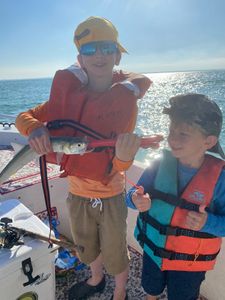 Channel Catfish fishing in FL