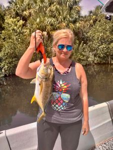 Crevalle Jack fish caught while fishing in FL