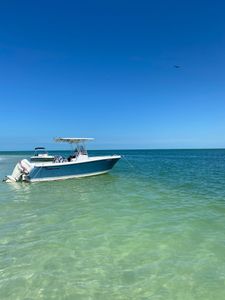 Fishing in FL