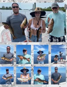 9 fish caught in FL