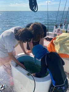 Fishing adventure in FL