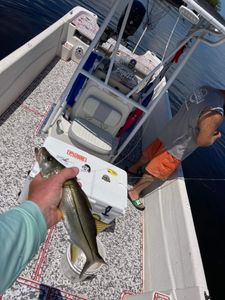 Fishing trip in FL