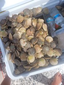 Fishing in FL