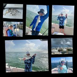 Four greater amberjack fish caught during a holiday fishing trip