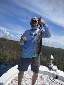 Snook fish caught on holiday fishing trip