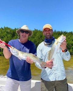 Rainbow trout fishing in FL
