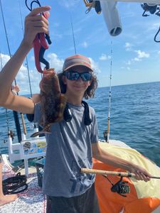 Red Grouper fishing in holiday location