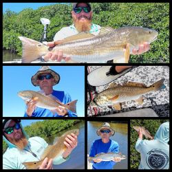 5 redfish and spotted weakfish caught in FL