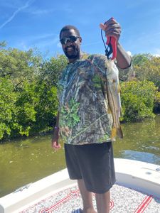 A snook fish in a holiday location