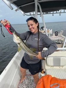 A snook fish caught in Florida during a fishing trip