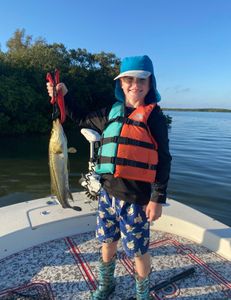 Snook fish caught during holiday fishing trip