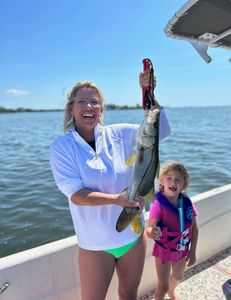 Snook fish caught while fishing in Florida
