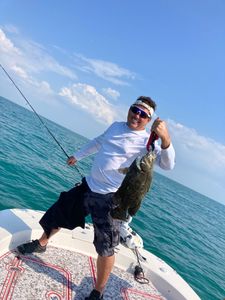 Tripletail fish caught fishing in FL